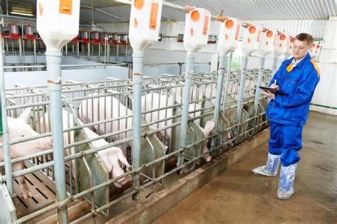Environmental Scientist – Produce Inspector.